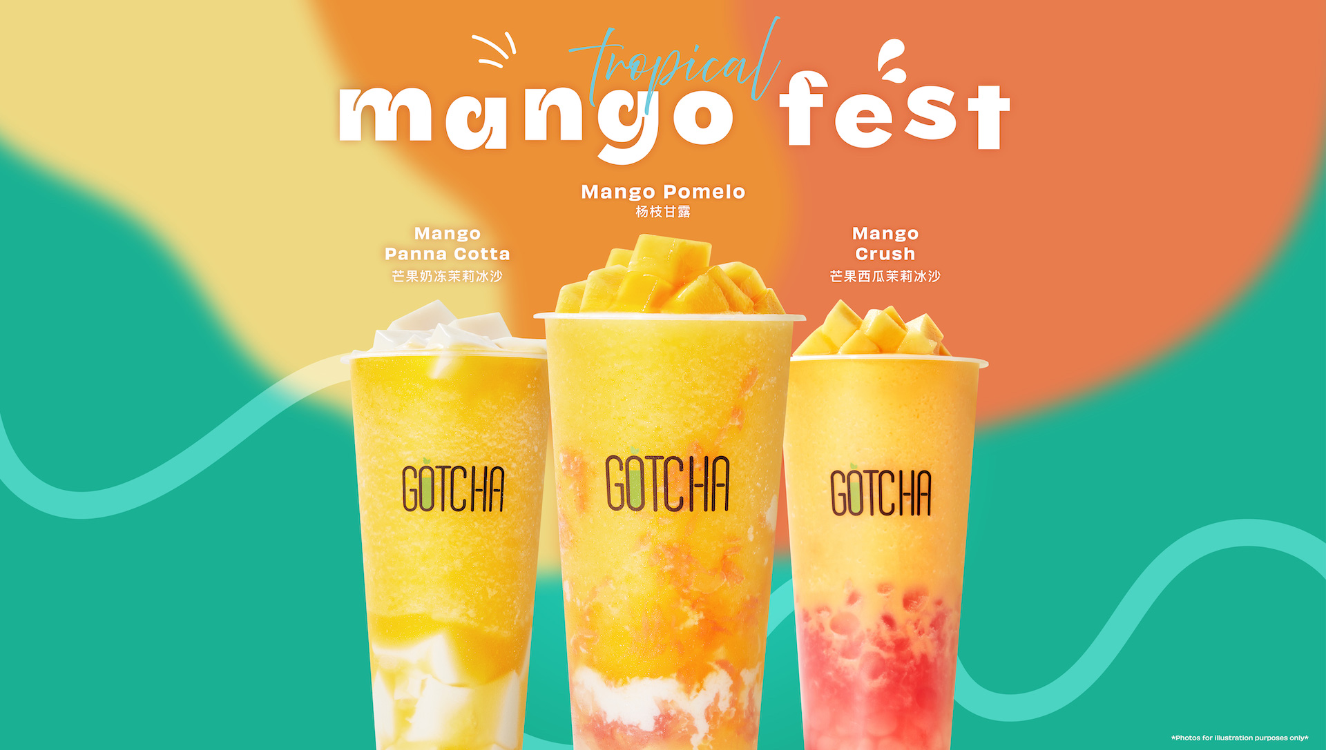 MangoFestTVhotizontal